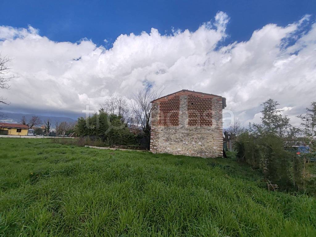 immagine annuncio 4 di 6