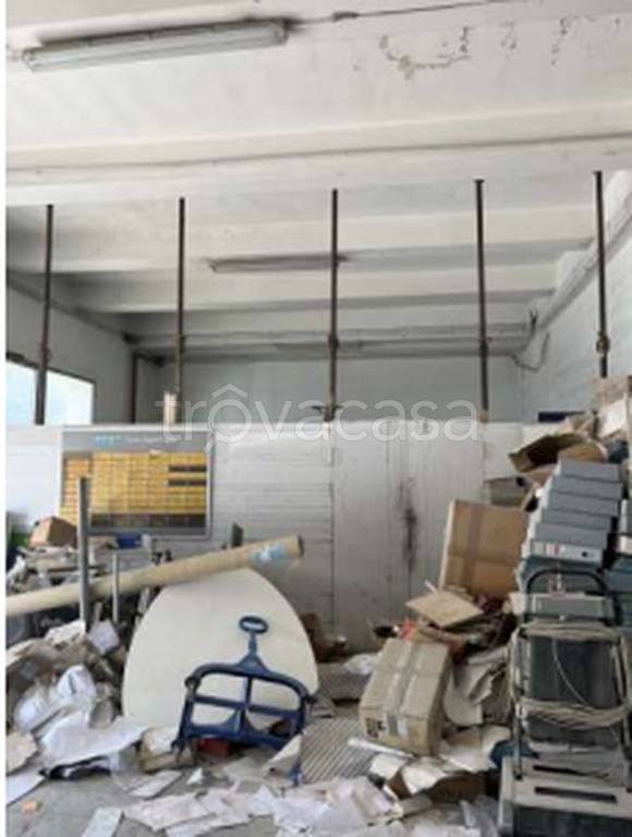 immagine annuncio 2 di 11