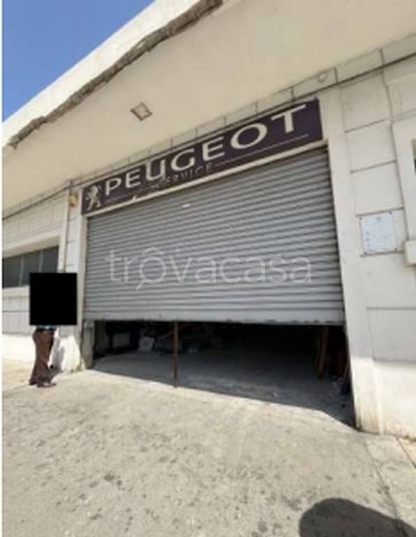 immagine annuncio 6 di 11