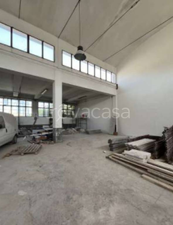 immagine annuncio 9 di 11