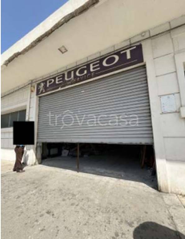 immagine annuncio 4 di 11