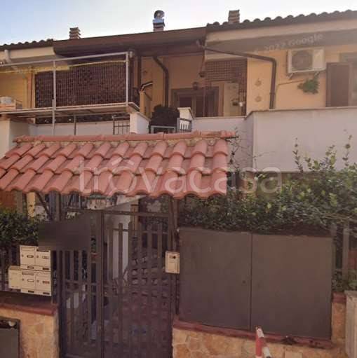 immagine annuncio 9 di 14