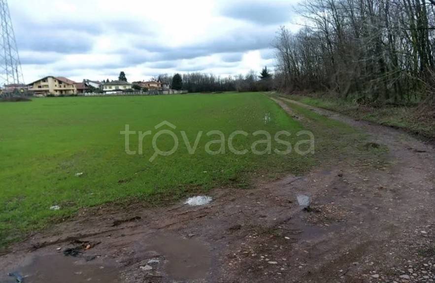 immagine annuncio 2 di 9