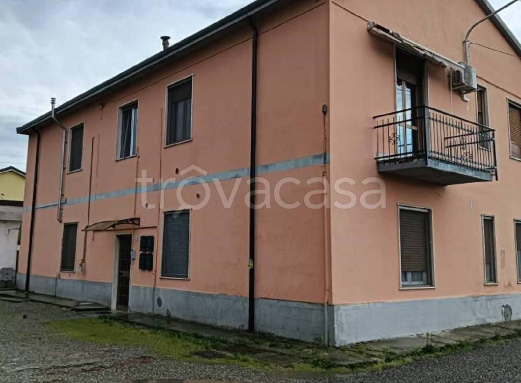 immagine annuncio 5 di 12