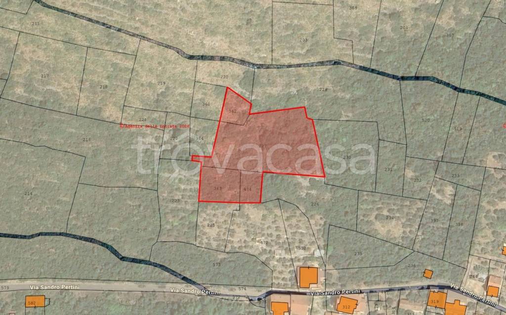 immagine annuncio 2 di 5