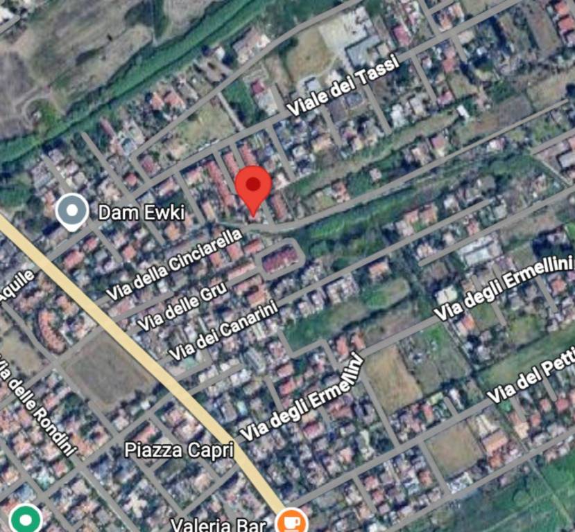 immagine annuncio 9 di 10