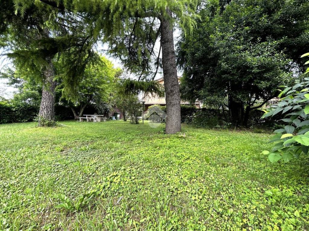 immagine annuncio 5 di 6