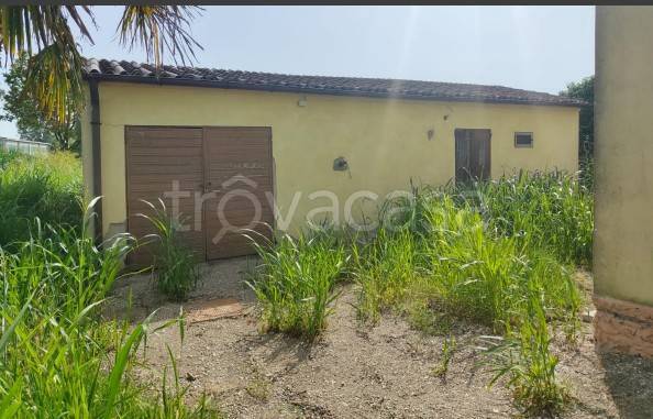 immagine annuncio 2 di 14