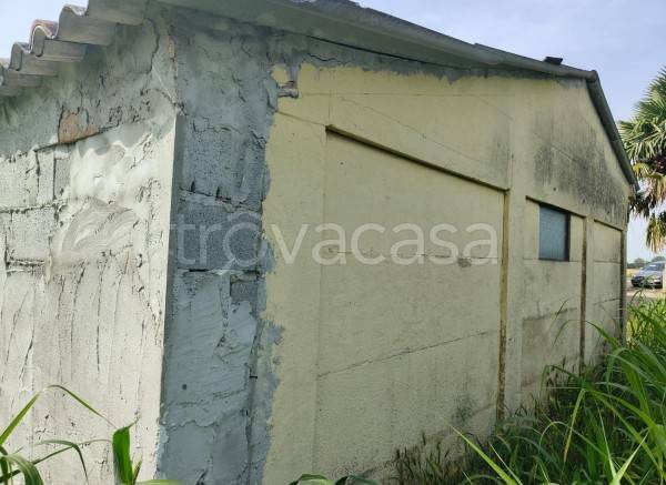 immagine annuncio 4 di 14