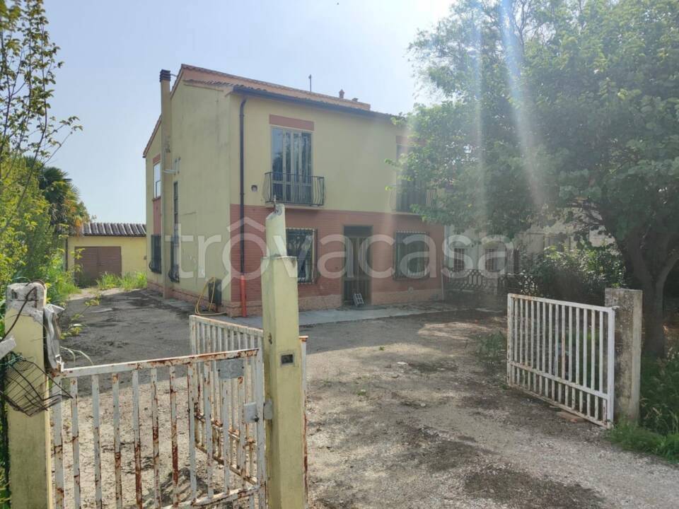 immagine annuncio 6 di 14