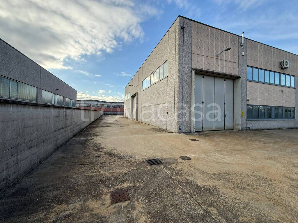 immagine annuncio 11 di 15