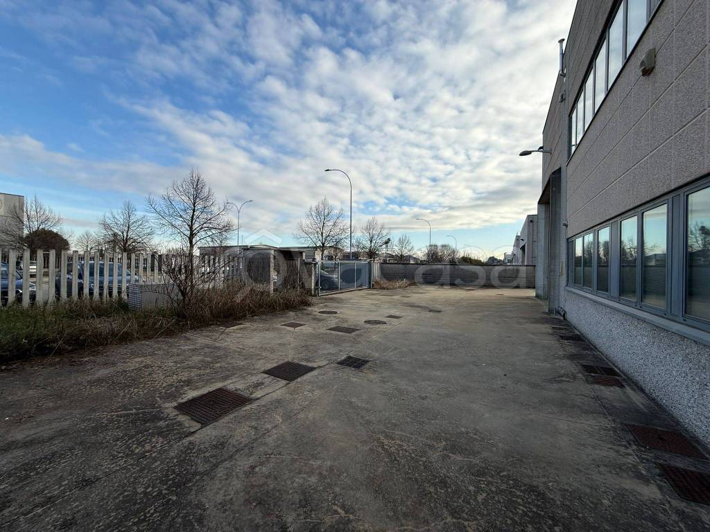 immagine annuncio 12 di 15