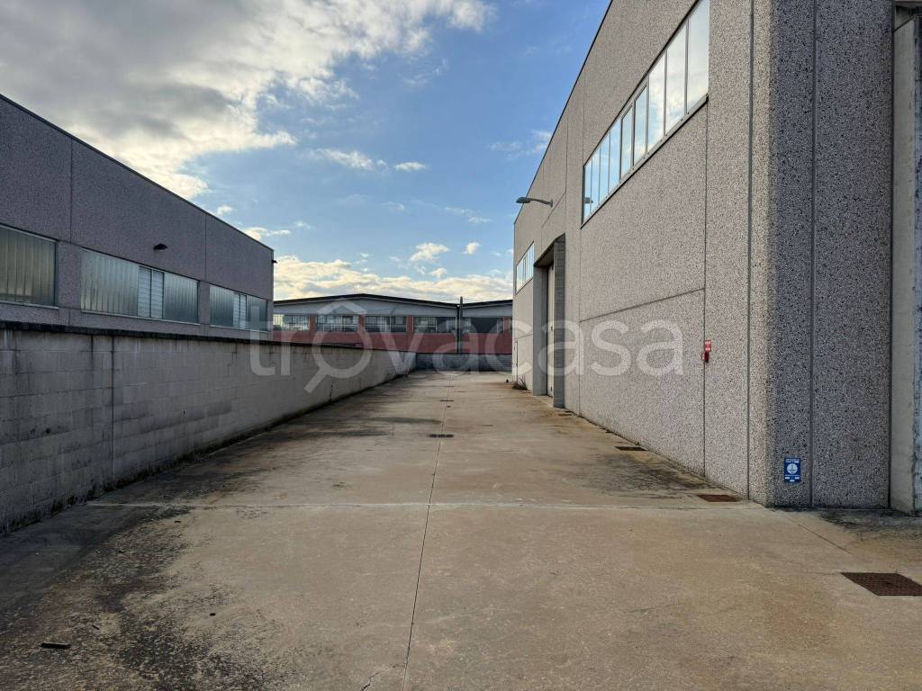 immagine annuncio 13 di 15