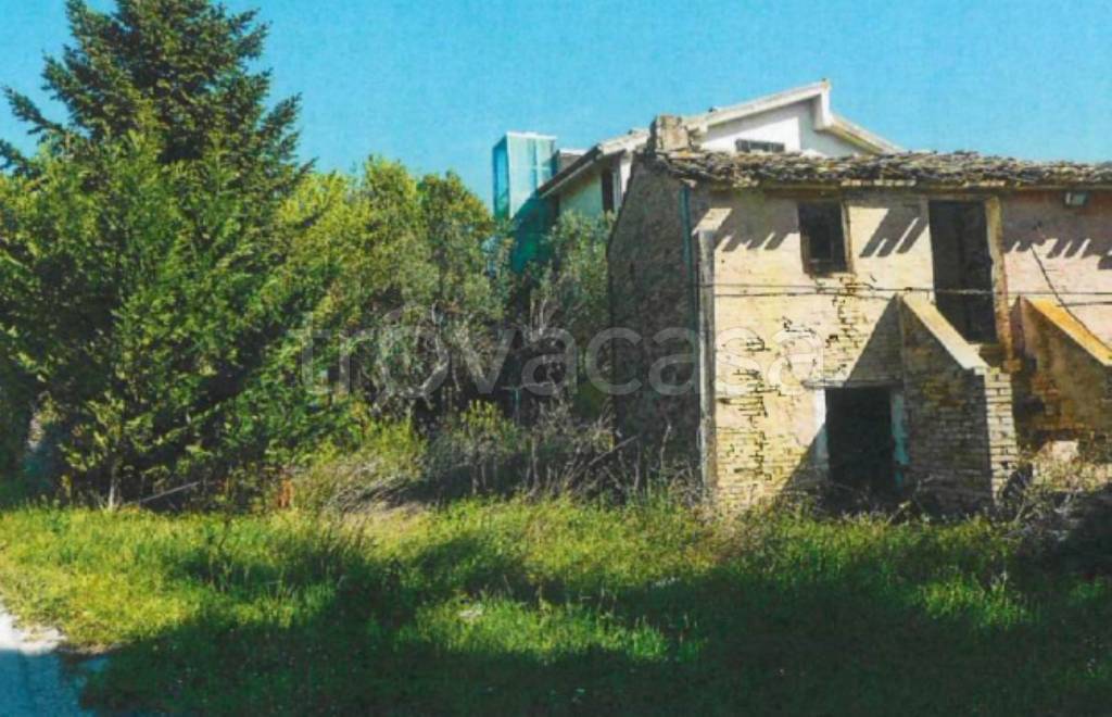 immagine annuncio 7 di 11