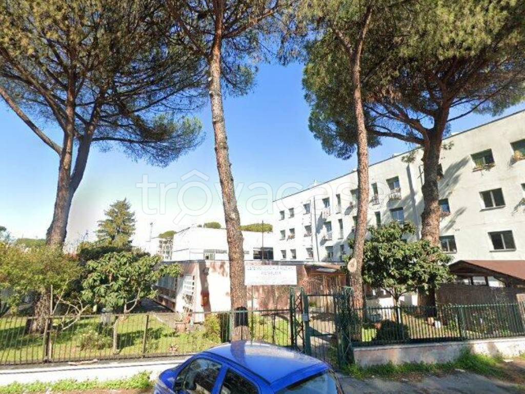 immagine annuncio 12 di 13