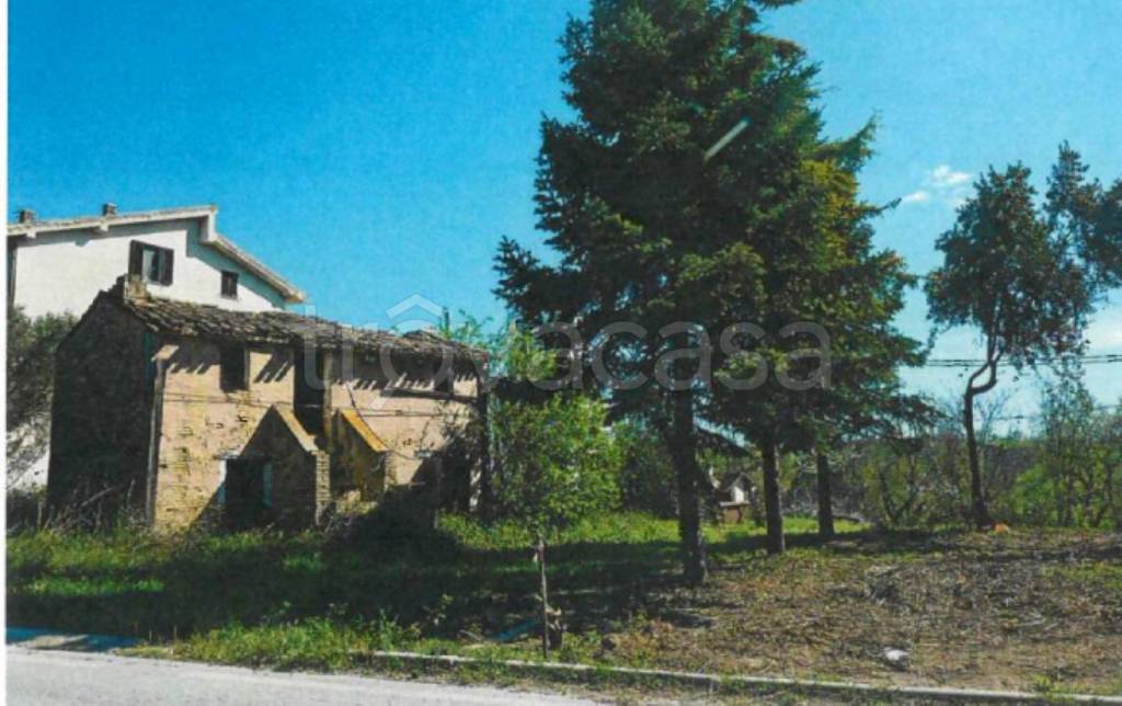 immagine annuncio 10 di 11