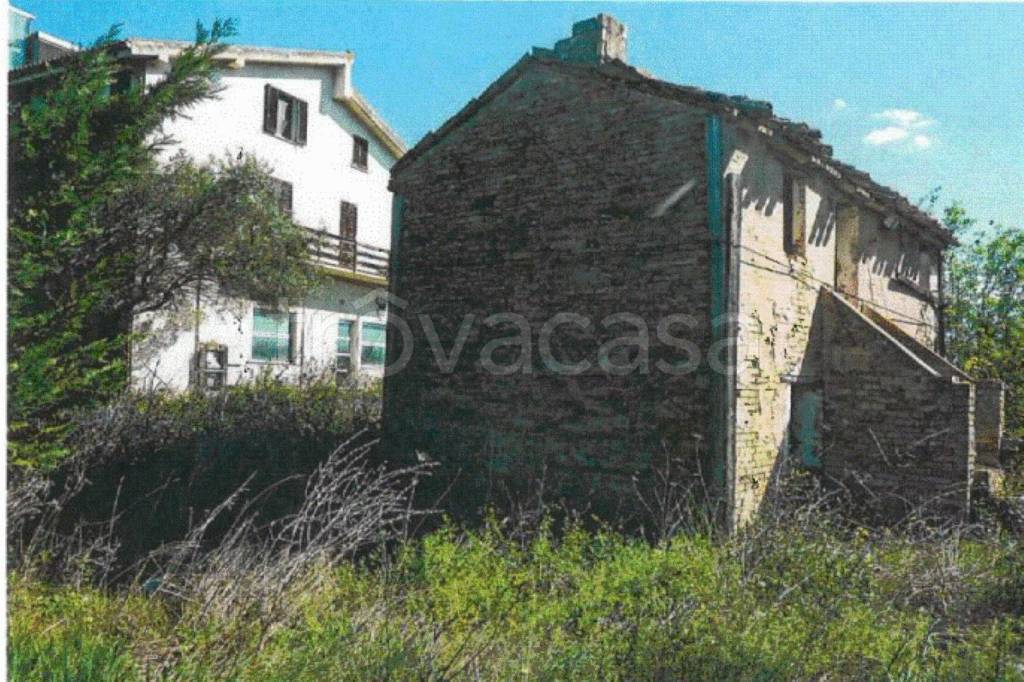 immagine annuncio 6 di 11