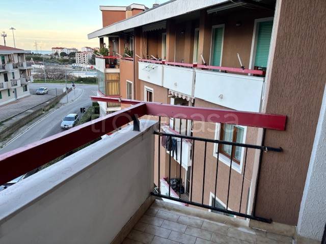 immagine annuncio 7 di 14