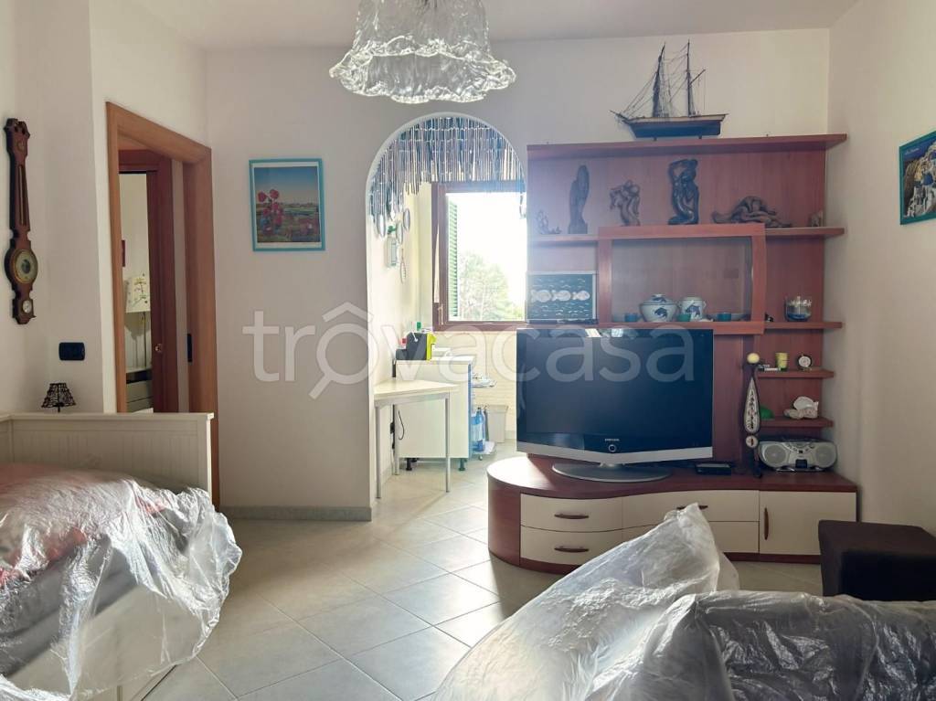 immagine annuncio 4 di 14