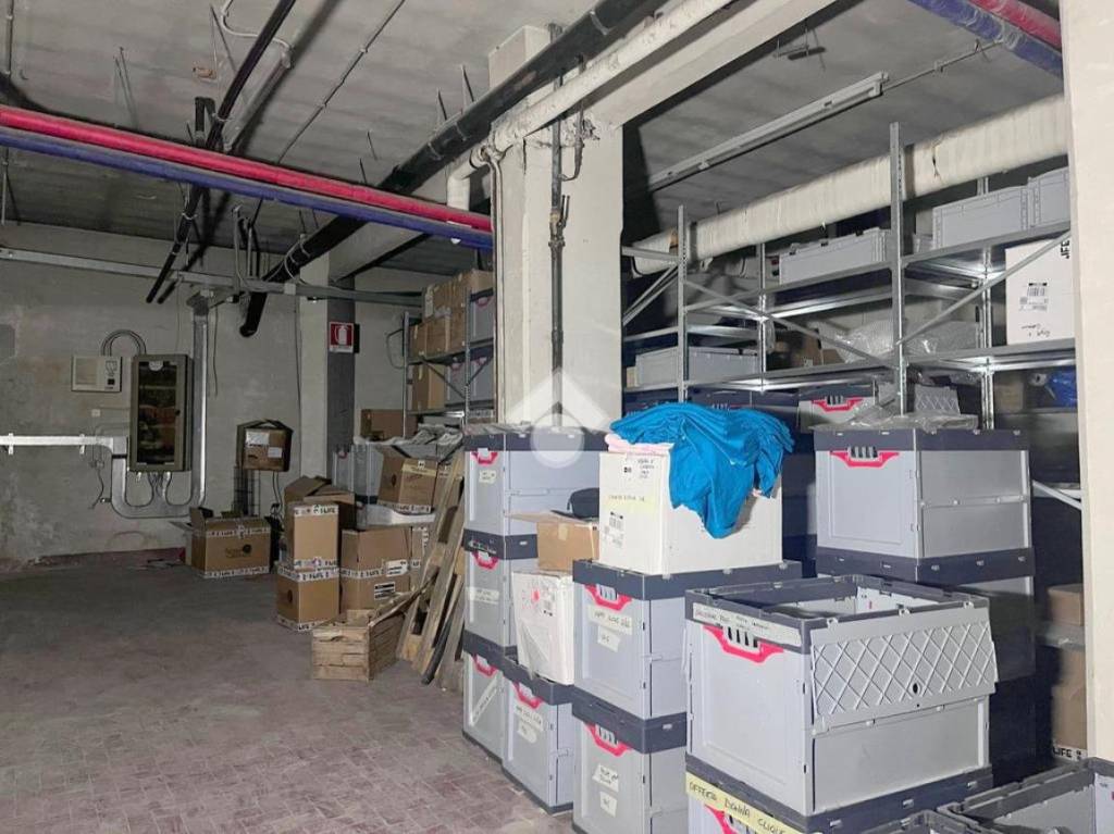 immagine annuncio 12 di 15