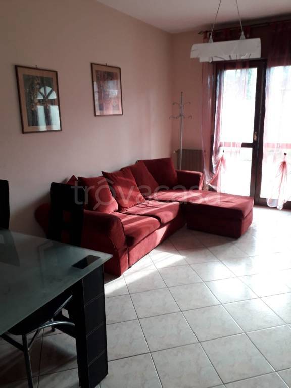 immagine annuncio 1 di 9