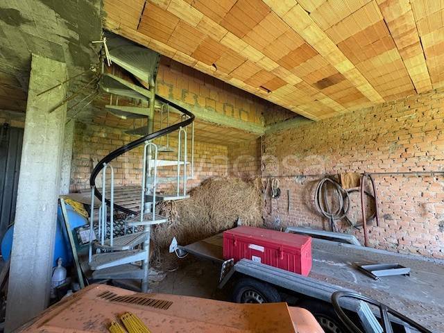 immagine annuncio 4 di 8