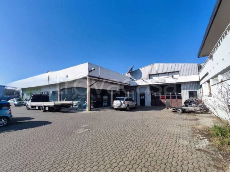 immagine annuncio 1 di 4