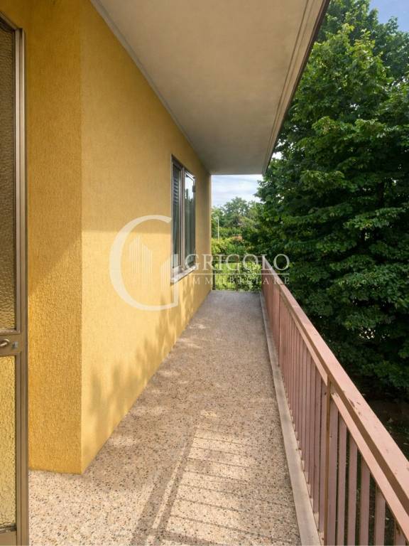 immagine annuncio 6 di 14