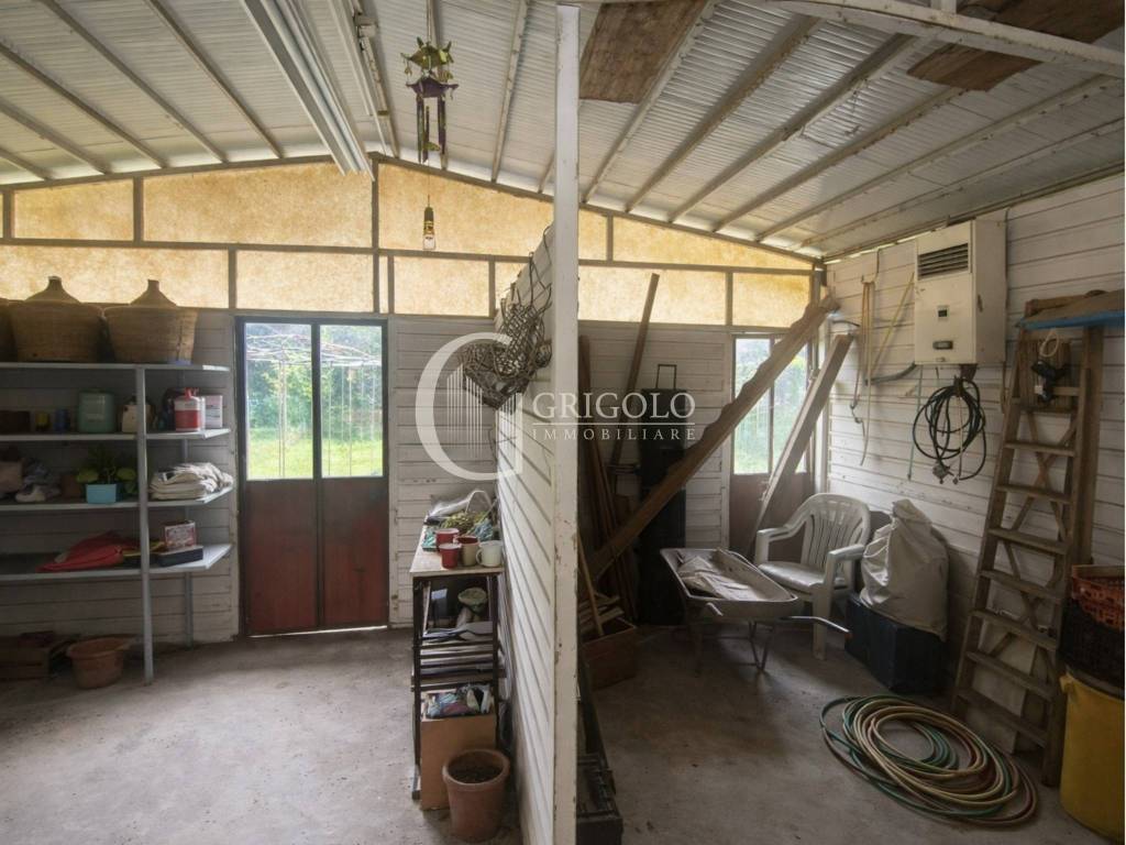 immagine annuncio 9 di 14