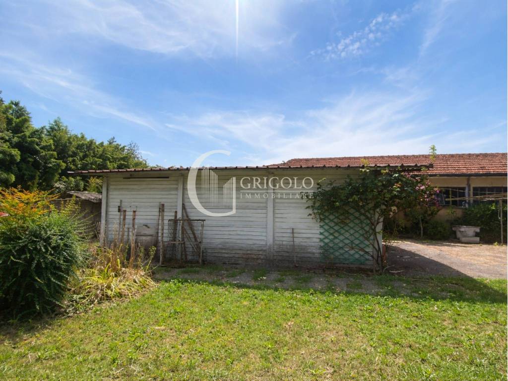 immagine annuncio 12 di 14