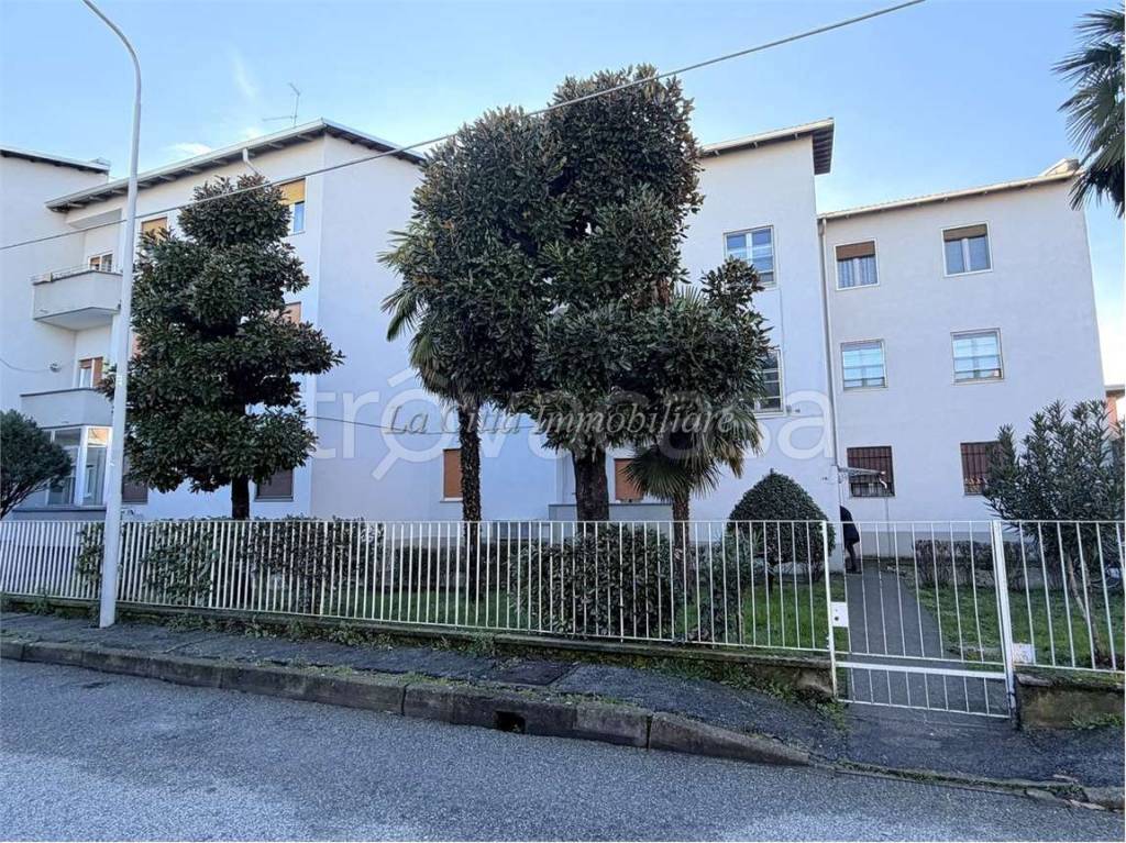 immagine annuncio 13 di 15