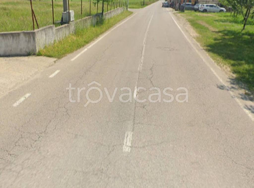 immagine annuncio 4 di 11