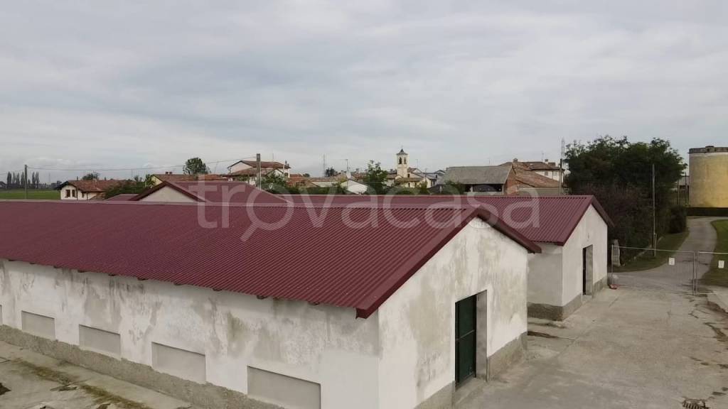 immagine annuncio 1 di 12