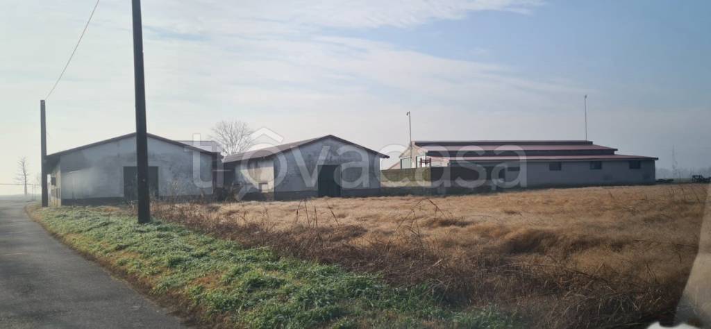 immagine annuncio 7 di 12