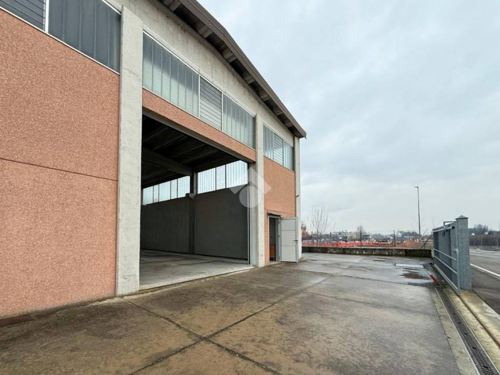 immagine annuncio 6 di 15