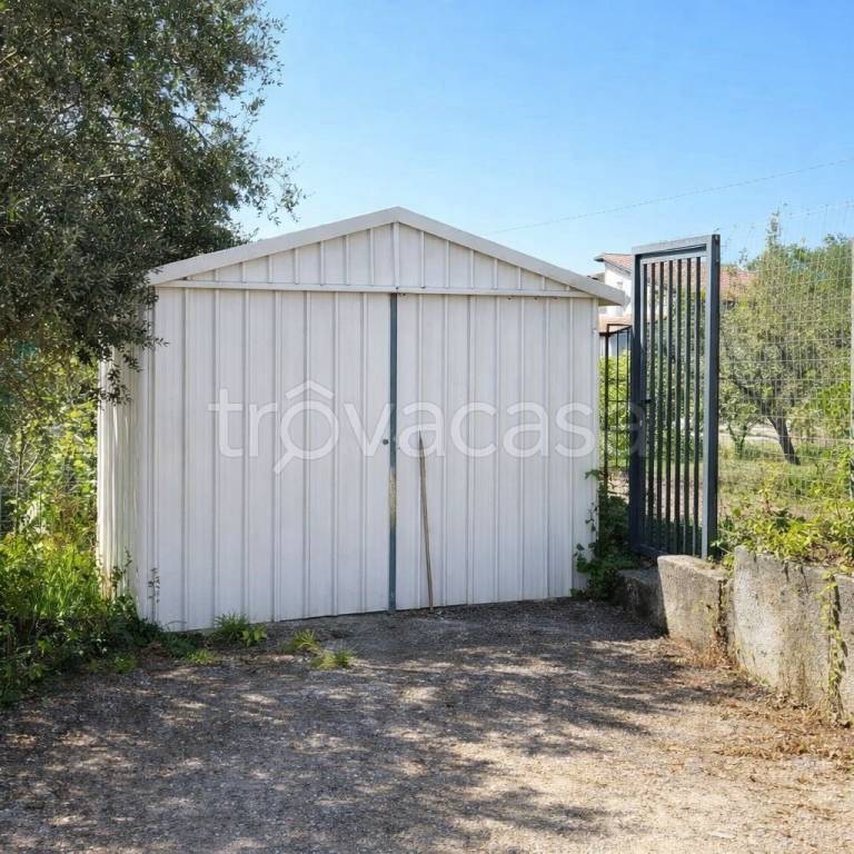 immagine annuncio 8 di 11