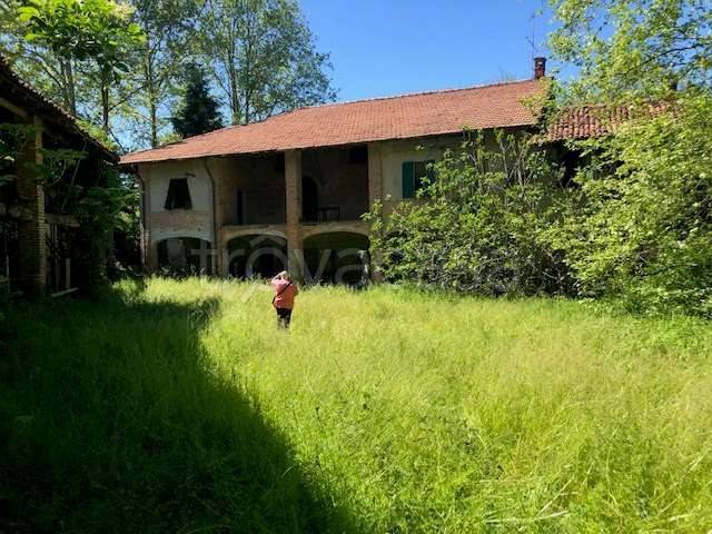 immagine annuncio 2 di 9