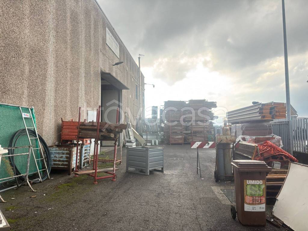 immagine annuncio 3 di 11