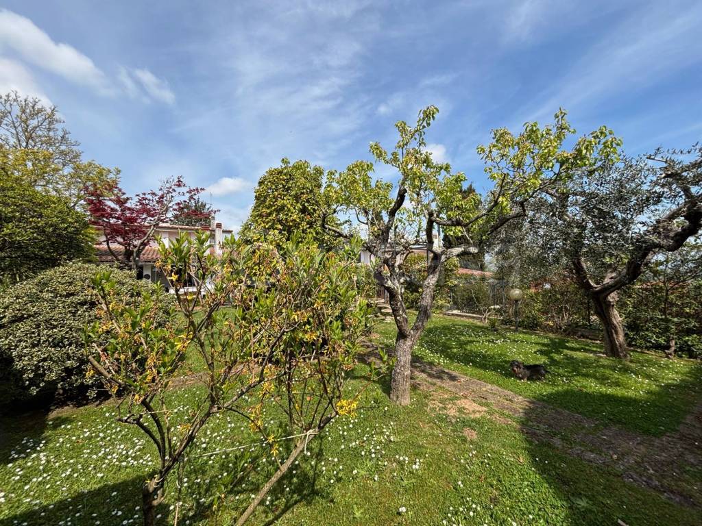 immagine annuncio 6 di 15