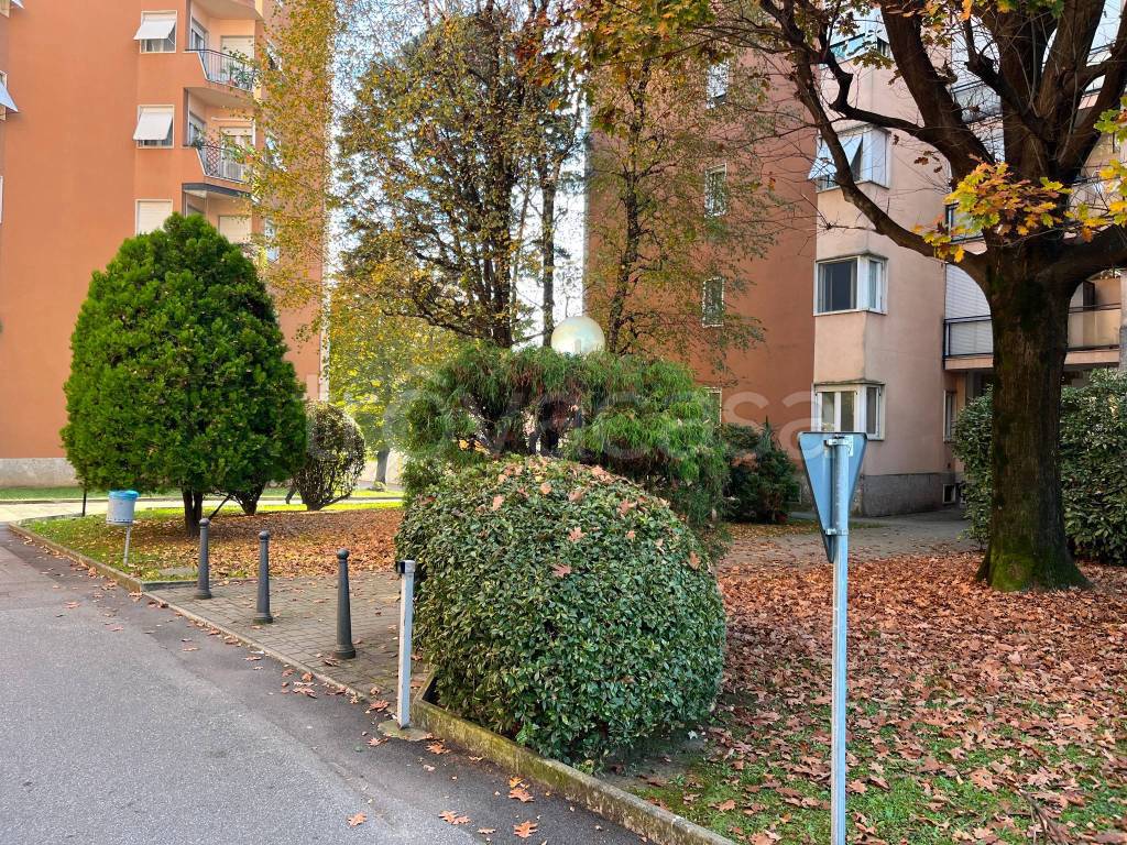 immagine annuncio 10 di 12