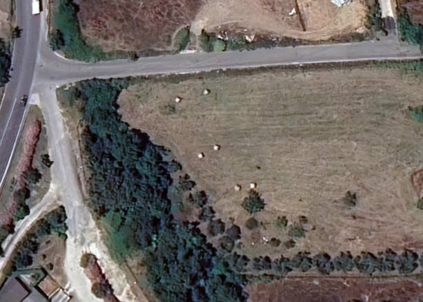 immagine annuncio 4 di 6