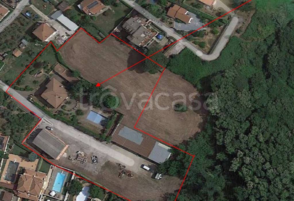 immagine annuncio 8 di 11