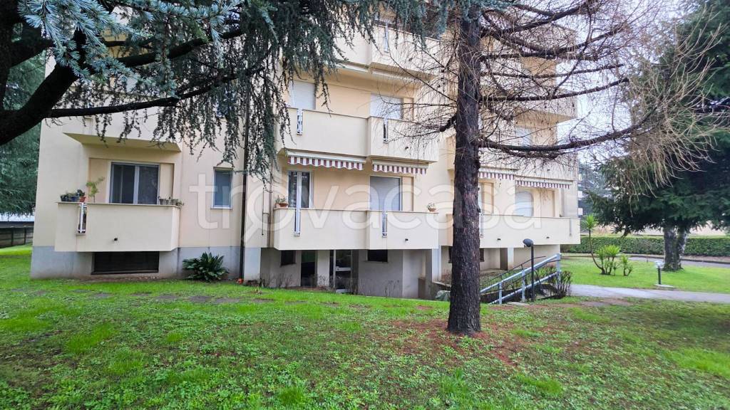 immagine annuncio 3 di 6