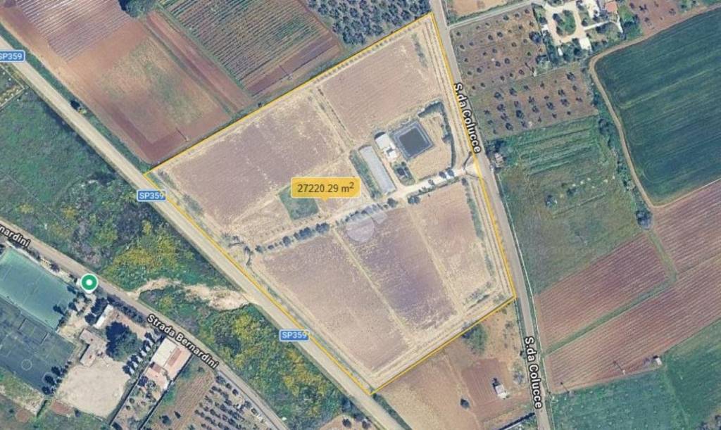 immagine annuncio 2 di 12