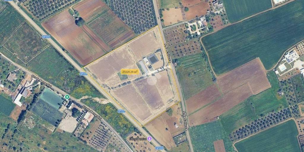 immagine annuncio 6 di 12