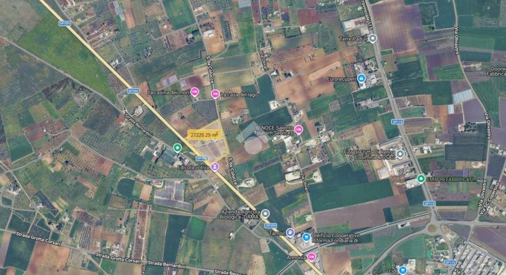 immagine annuncio 8 di 12