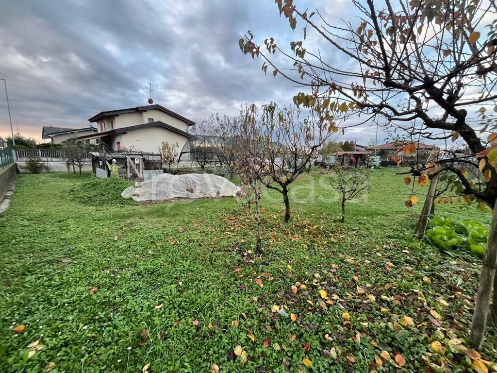 immagine annuncio 12 di 15