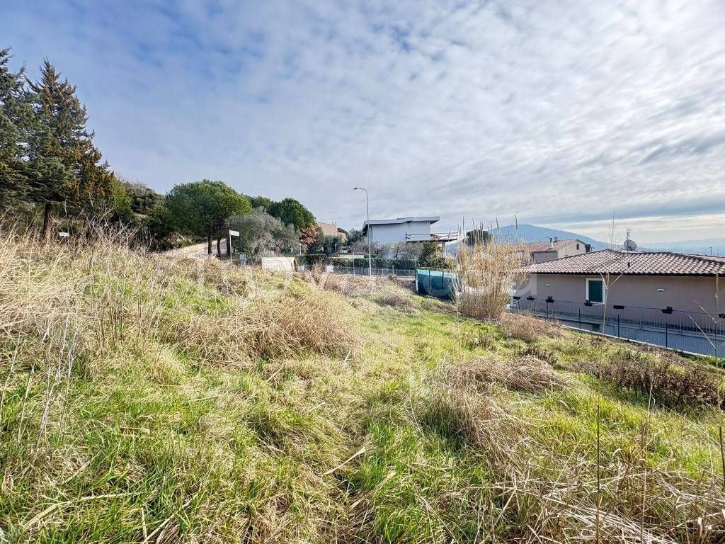 immagine annuncio 4 di 14