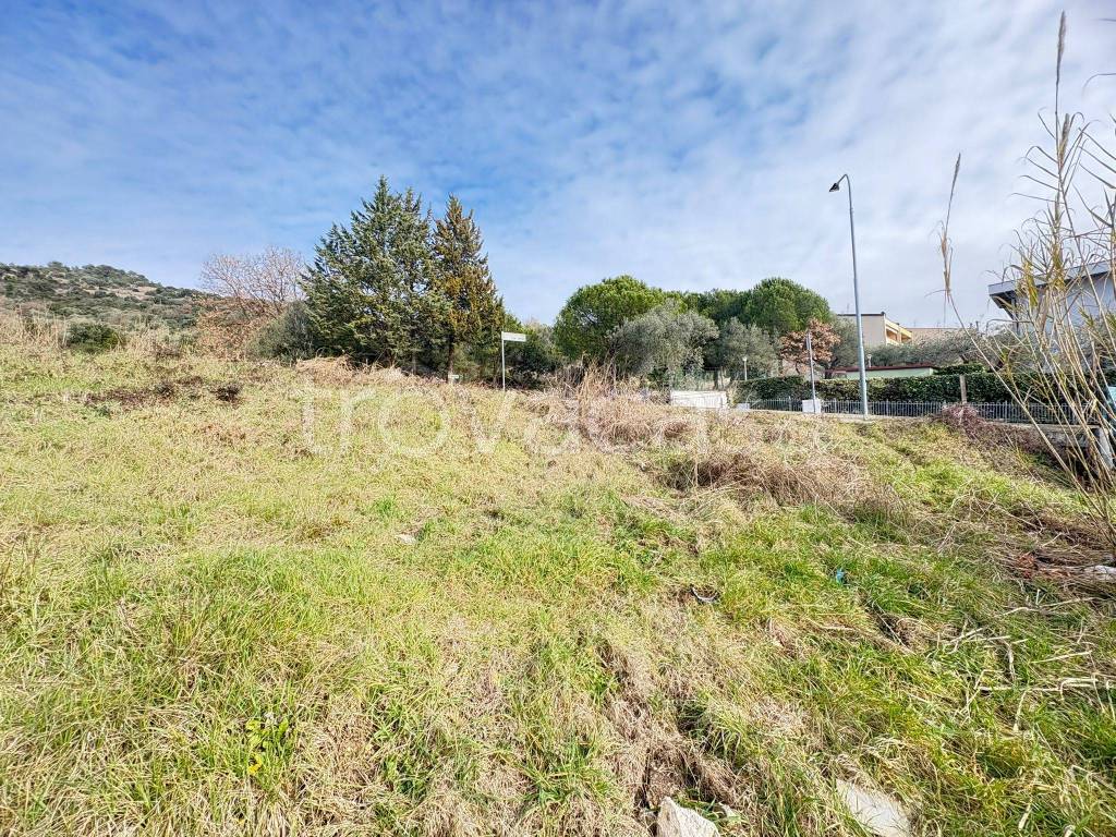 immagine annuncio 7 di 14