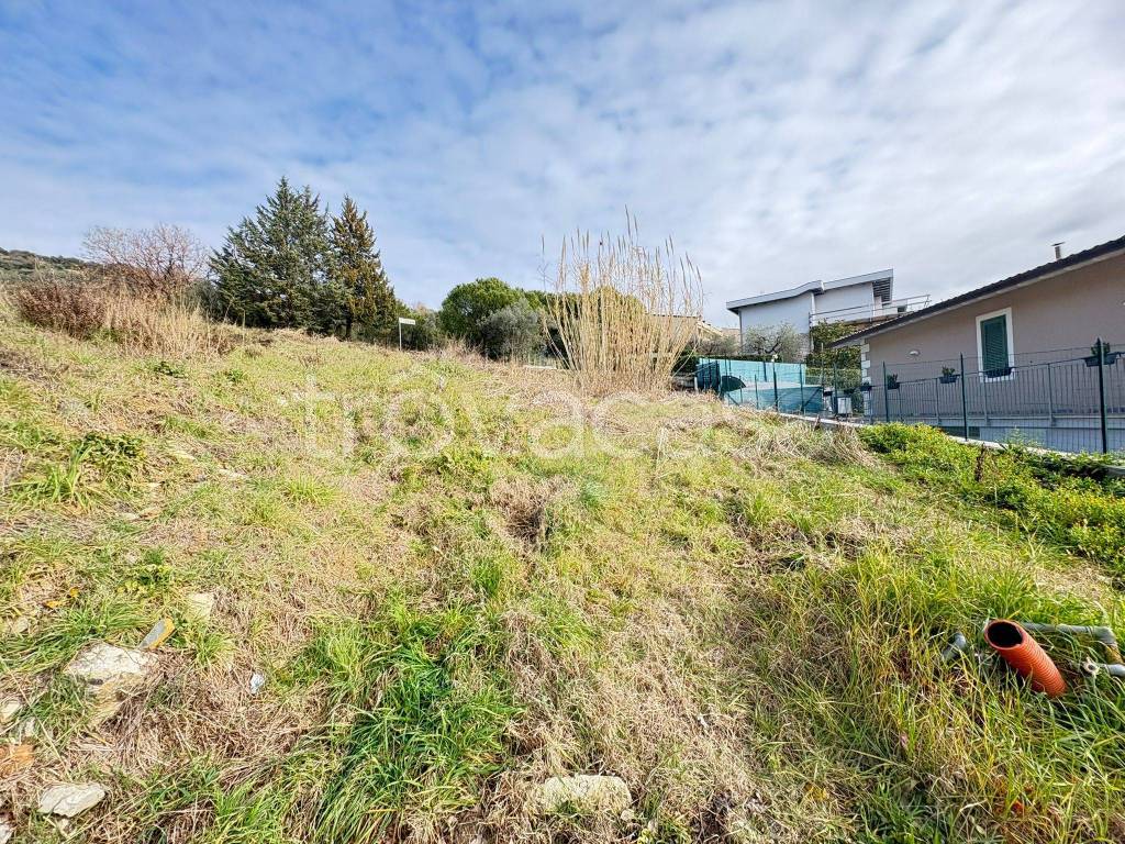 immagine annuncio 8 di 14